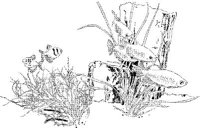 TRF008A.JPG