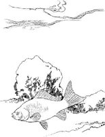 TRF004A.JPG