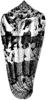 TAN120F.JPG