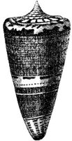 TAN119I.JPG