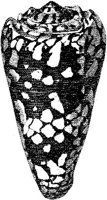 TAN118I.JPG