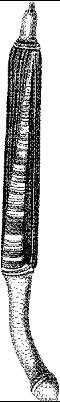 TAN116C.JPG