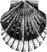 TAN109A.JPG