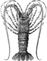 TAN093A.JPG