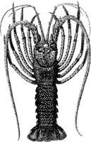 TAN092A.JPG