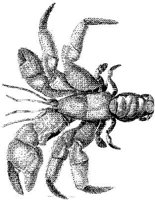 TAN091B.JPG