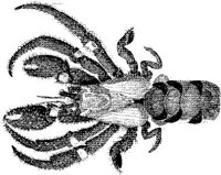TAN091A.JPG