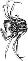TAN083D.JPG