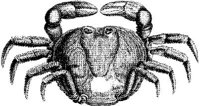 TAN082D.JPG