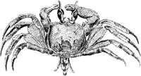 TAN082A.JPG