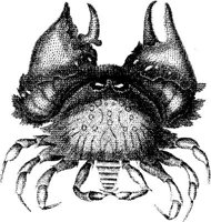 TAN081A.JPG
