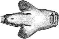 TAN080A.JPG