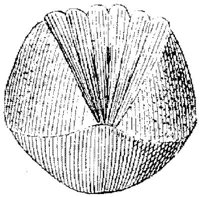TAN069E.JPG