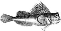 TAN064C.JPG
