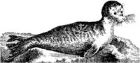 TAN023B.JPG