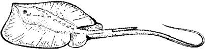 SHR032B.JPG