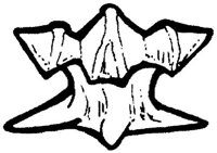 SHR010B.JPG