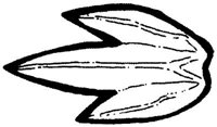 SHR010A.JPG