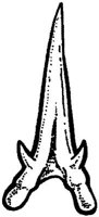 SHR009E.JPG