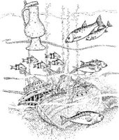 SHI012A.JPG