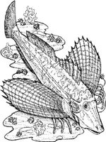 SCS023A.JPG