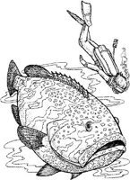 SCS020A.JPG