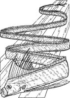 SCS010A.JPG