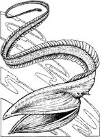 SCS005A.JPG