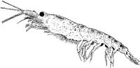 MAR032C.JPG