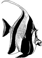 MAR032B.JPG