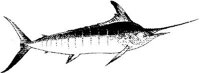 MAR029C.JPG