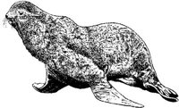 MAR027B.JPG