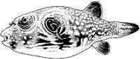 MAR026A.JPG