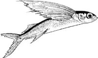 MAR024A.JPG