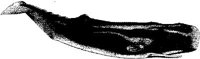 MAR023A.JPG