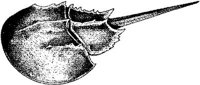 MAR019A.JPG