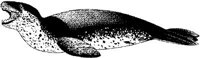 MAR017A.JPG