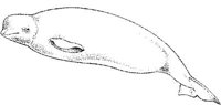 MAR015A.JPG