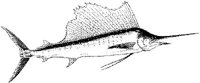 MAR013A.JPG