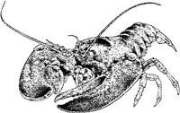 MAR011C.JPG