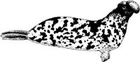 MAR011B.JPG