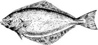 MAR008B.JPG