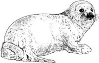 MAR004A.JPG