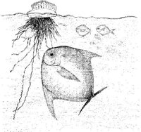 FNA040A.JPG