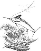 FNA027A.JPG
