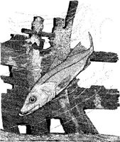 FNA025A.JPG