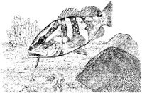 FNA000A.JPG