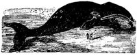 EAC027Z.JPG