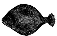 EAC027Y.JPG