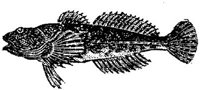 EAC027P.JPG